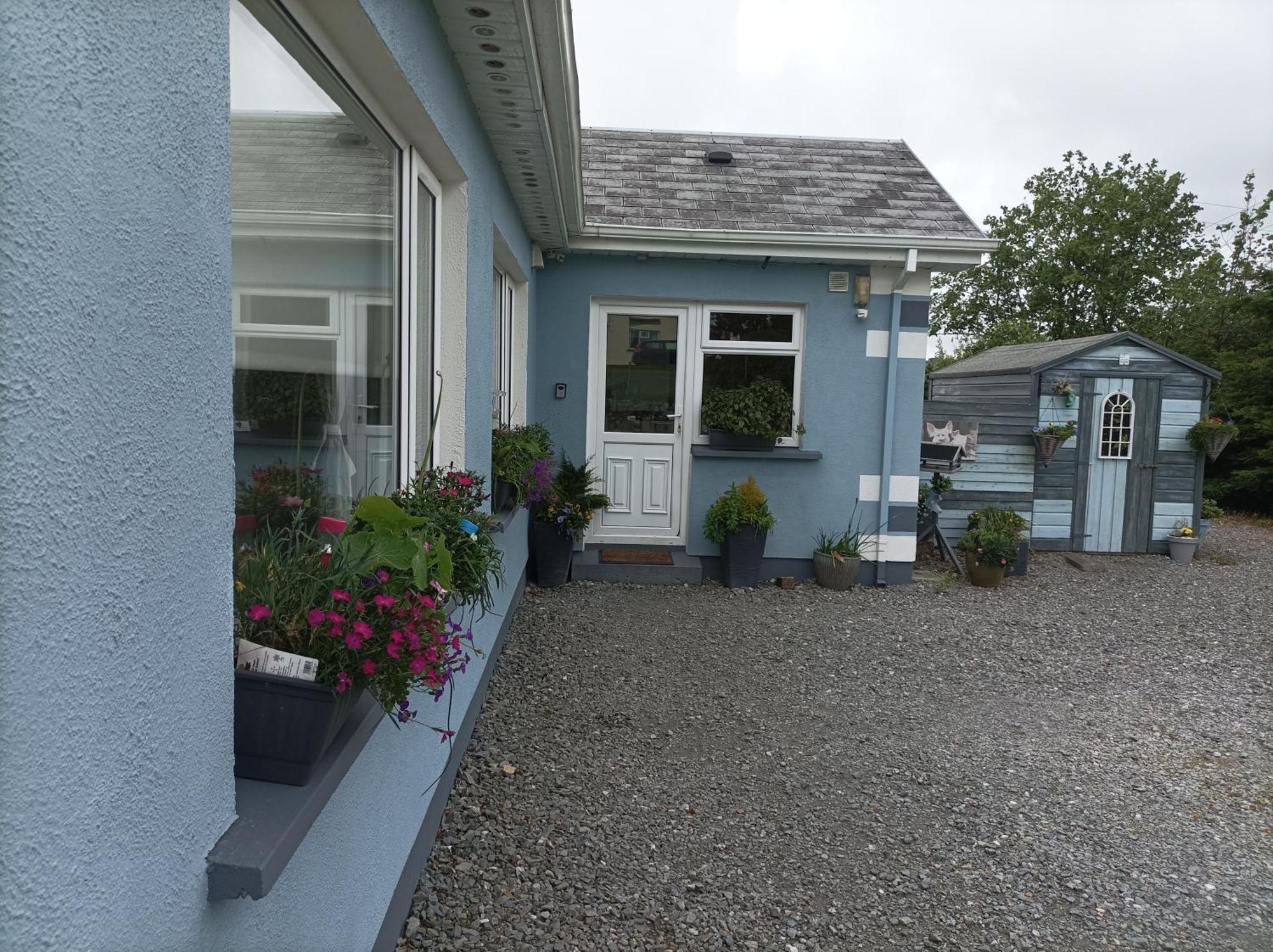 Clifden Wildflower Cottage - Clifden Countryside Lettings Luaran gambar