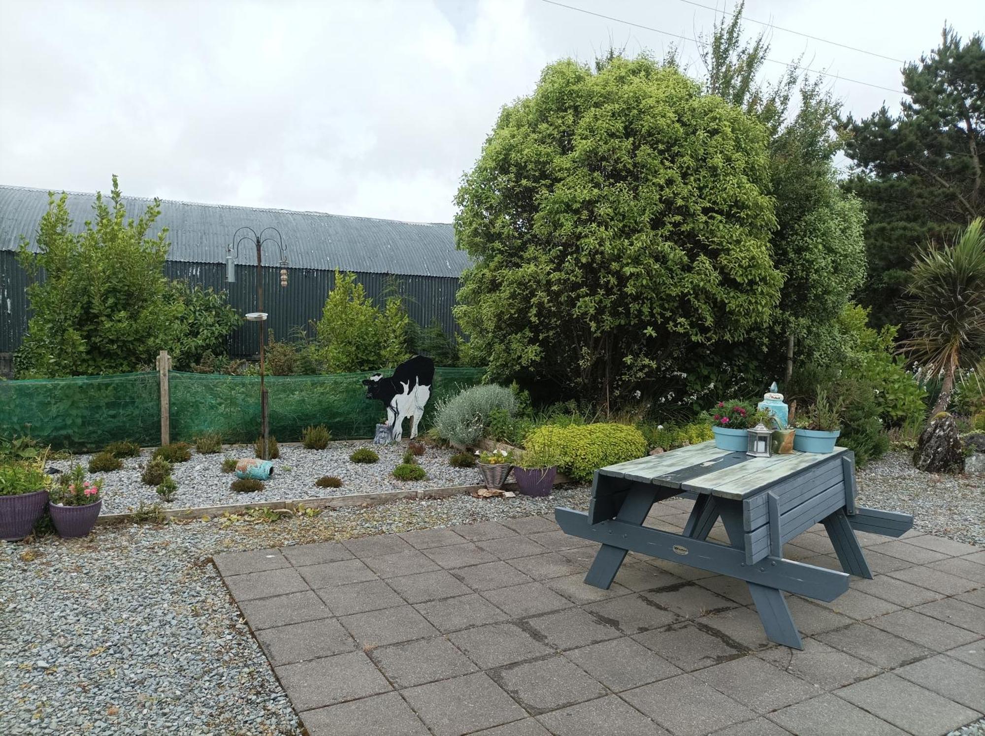 Clifden Wildflower Cottage - Clifden Countryside Lettings Luaran gambar