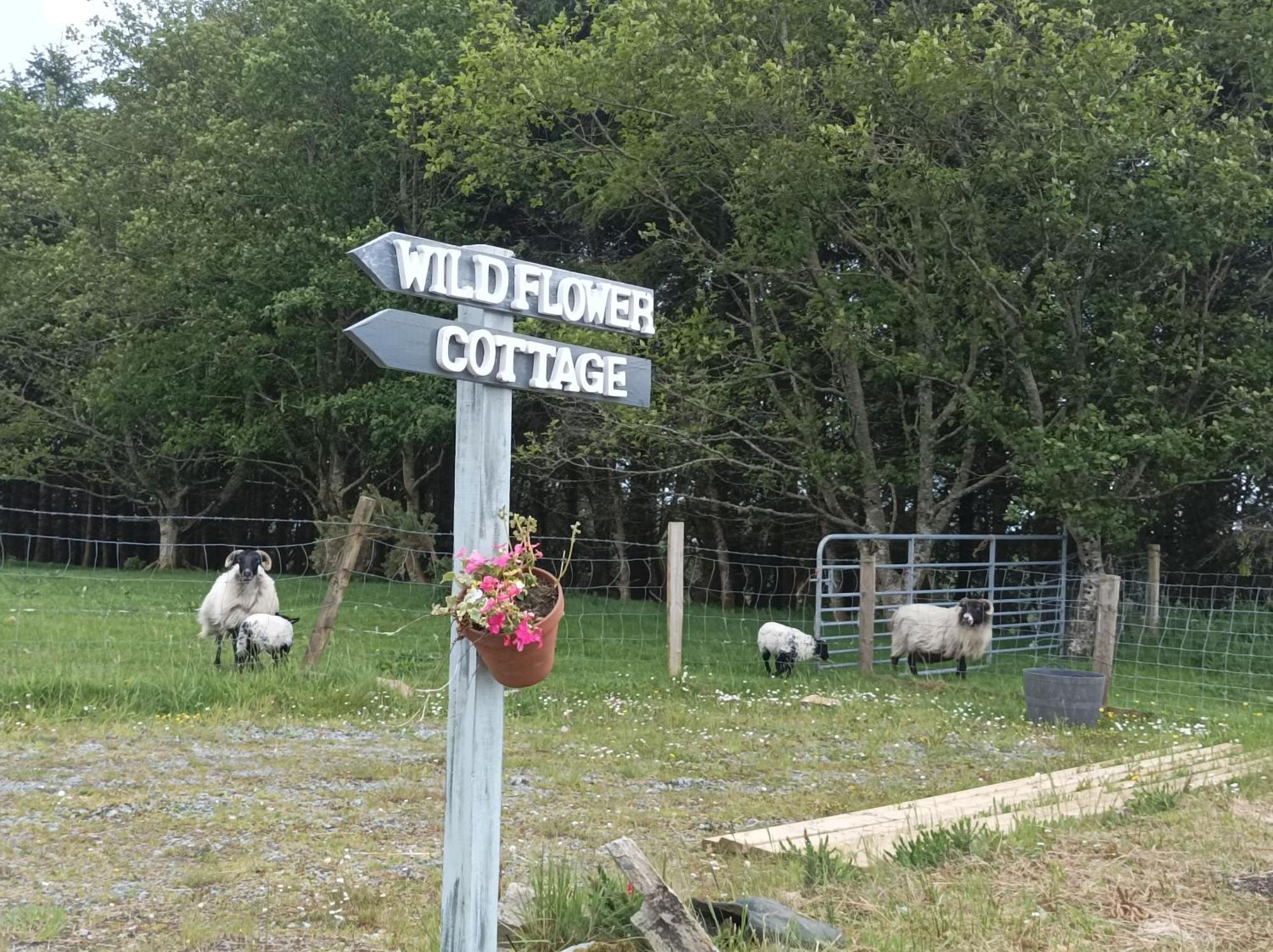 Clifden Wildflower Cottage - Clifden Countryside Lettings Luaran gambar